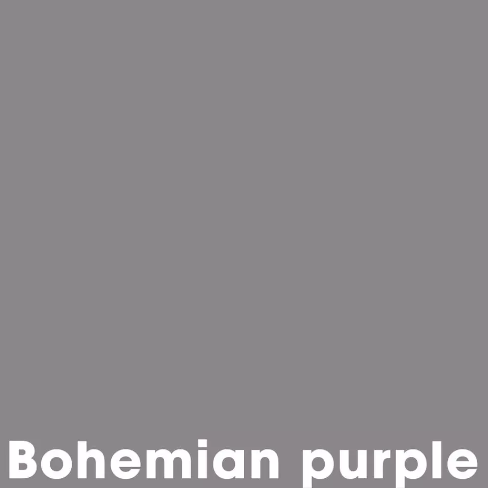 Kwantum Muurverf Professional Bohemian Purple 1 L | Muurverf